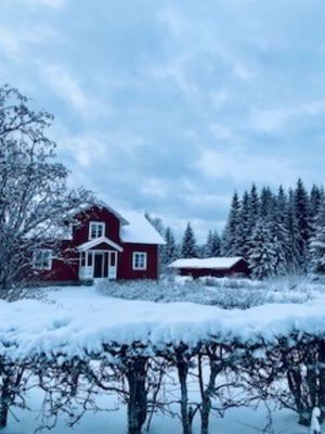 Charmigt hus i vacker miljö, lugnt och stilla - Bild 21