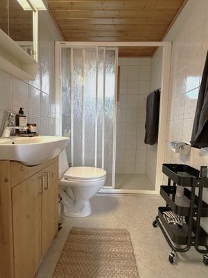 Badrum stora huset