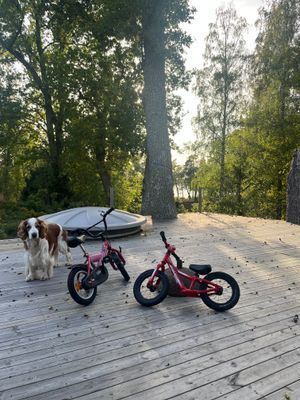 Äspholmen, strandnära skärgårdshus. - Bild 17