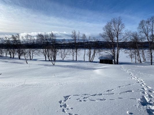 Fjällhjärta i Tänndalen - Bild 4