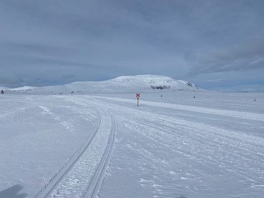 Fjällhjärta i Tänndalen - Bild 11
