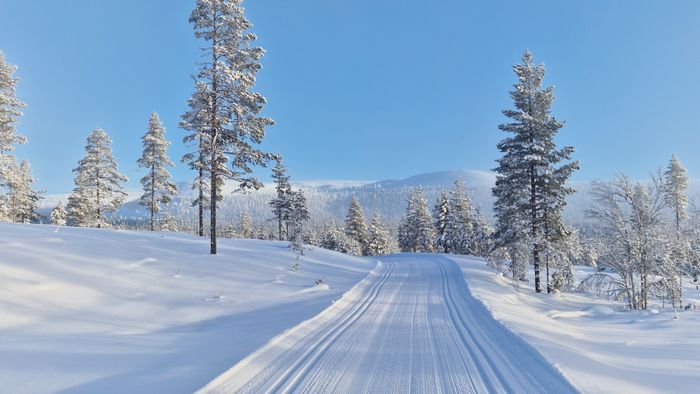 Fjällstuga i Ljördalen, Trysil, Norge - Bild 8