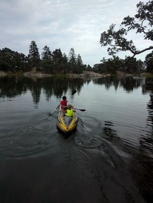 Charmiga sommarstuga på egen ö i Nyköpingsskärgård - Bild 16
