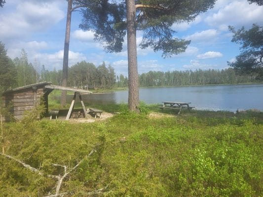 Mysig stuga med sjöutsikt över Orsasjön - Bild 7