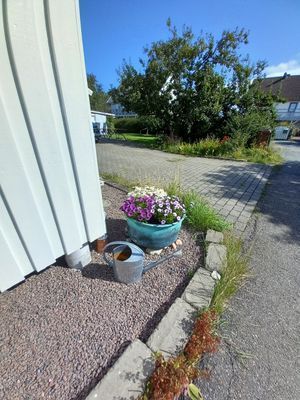 Don Rodolfos på Rörö - Bild 3