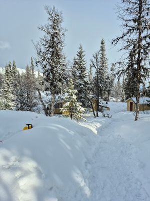 Stig från parkeringen ner till stugan