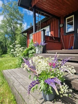 Mycket fint fjällhus nära Åre - Bild 3