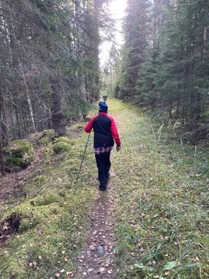 Timmerhus - Bild 38