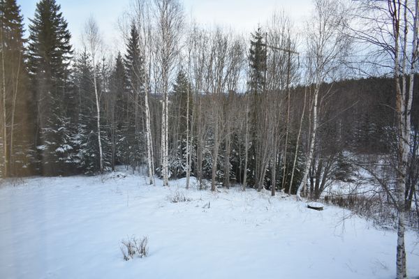 Villa Frida - Bild 13