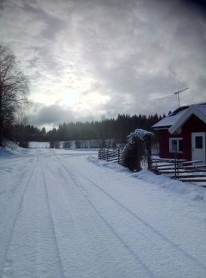 Mysig stuga på landet, 4-6 bäddar, hund välkommen - Bild 43