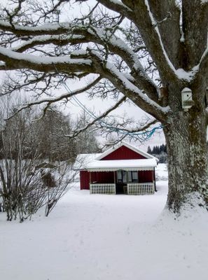Mysig stuga på landet, 4-6 bäddar, hund välkommen - Bild 44