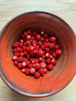 Adelsö idyll vid Mälaren med bastu och stor tomt - Bild 28