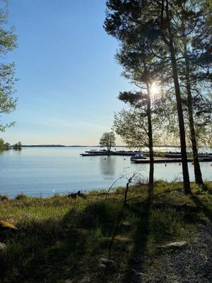 Adelsö idyll vid Mälaren med bastu och stor tomt - Bild 26