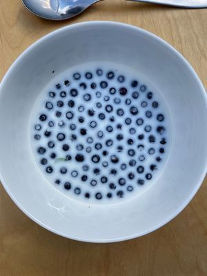 Adelsö idyll vid Mälaren med bastu och stor tomt - Bild 29