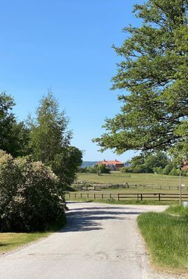Utsikt precis utanför huset