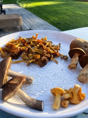 Adelsö idyll vid Mälaren med bastu och stor tomt - Bild 27