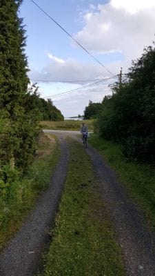 Mysig stuga vid skogens kant i bedårande Blekinge - Bild 16