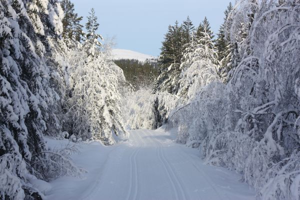 Fjällstuga i Ljördalen, Trysil, Norge - Bild 9