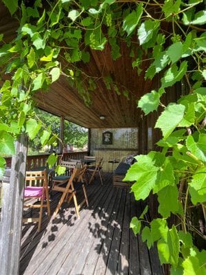Stuga mellan Löttorp och Böda uthyres - Bild 5