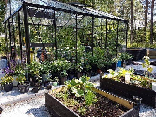 Stuga med tillgång till bastustuga & växthus - Bild 21