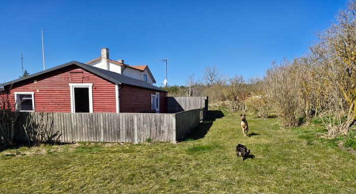 Gäststuga på hästgård i Hellvi på Norra Gotland - Bild 14