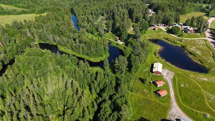 Bäverstugan - Bild 2