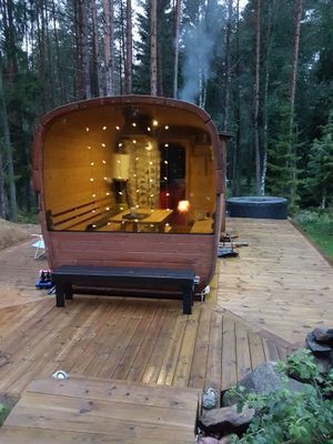 Stuga med tillgång till bastustuga & växthus - Bild 13