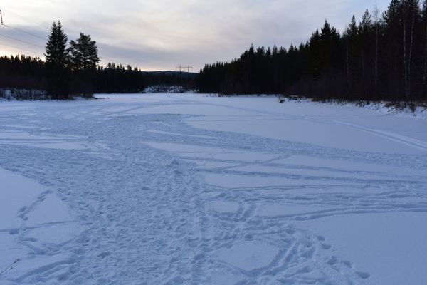 Villa Frida - Bild 14