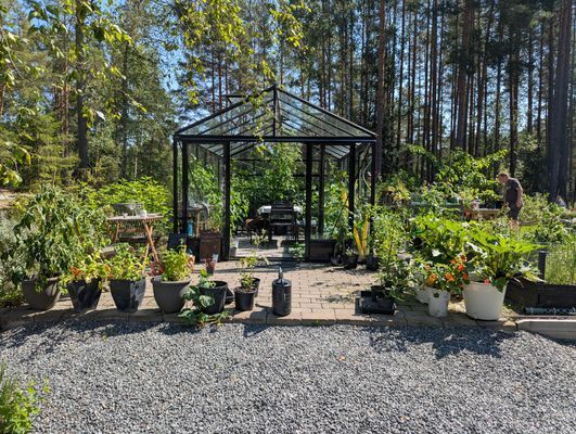 Stuga med tillgång till bastustuga & växthus - Bild 22