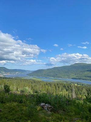 Utsikt från toppen av skidbacken i Tegefjäll