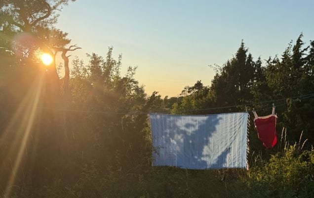 Välkommen till fasanhuset! - Bild 13
