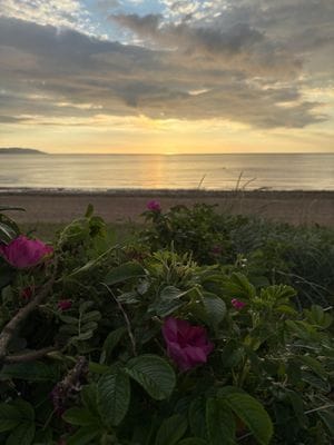 Charmig stuga nära fantastisk strand - Bild 48