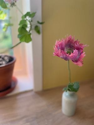 Rymligt hus på gård, intill restaurang - Bild 8