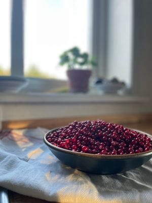 Rymligt hus på gård, intill restaurang - Bild 9