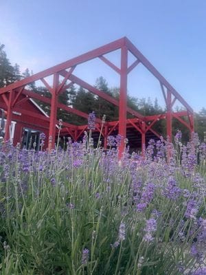 Pergolan vid restaurangens uteservering