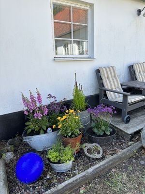 En gårdsdröm invid Sveriges sydligaste spets - Bild 7