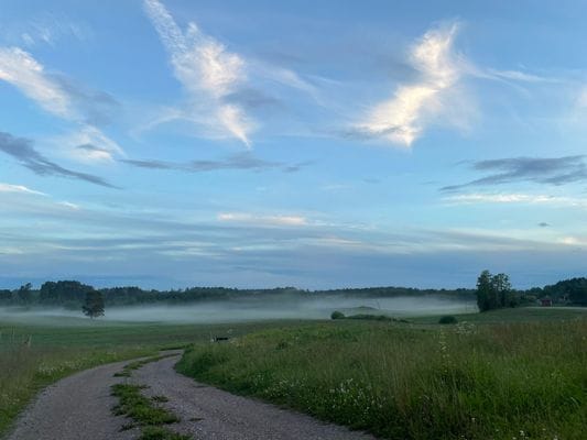 Rymligt hus på gård, intill restaurang - Bild 25