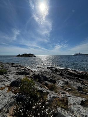 Centrala grisslehamn - Bild 9
