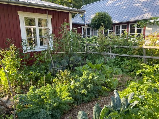 Charmigt fritidshus i Södra Lökaröd, Österlen - Bild 6