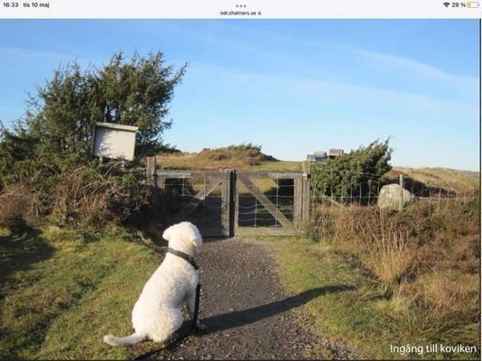 Härligt sommarhus på Onsalas sydspets, nära havet - Bild 16