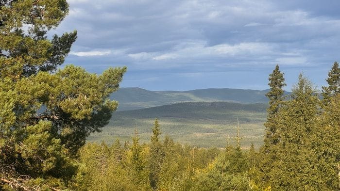Mysig 4-bäddsstuga i skidområde Långberget, Branäs - Bild 24