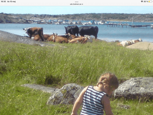 Härligt sommarhus på Onsalas sydspets, nära havet - Bild 23