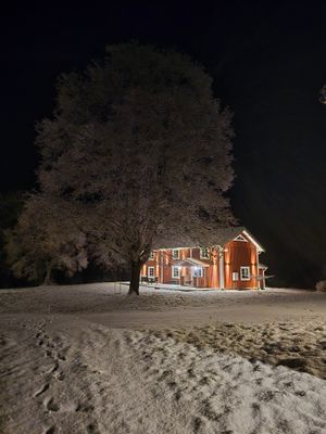 Hel gård från 1790 vid sjö – 2 hus – avskilt läge - Bild 10