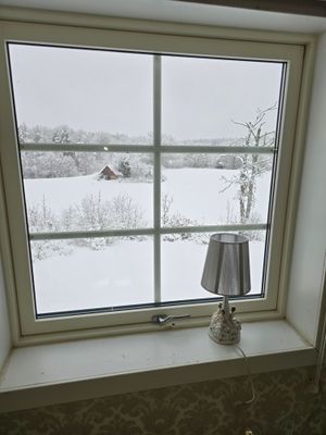 Hel gård från 1790 vid sjö – 2 hus – avskilt läge - Bild 19