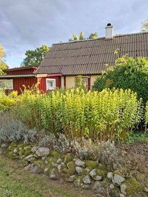 Mysigt litet hus på landet. - Bild 3