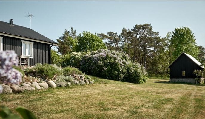 Trädgården