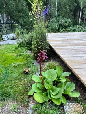 Ett torp i Sörmland med karaktär - Bild 4