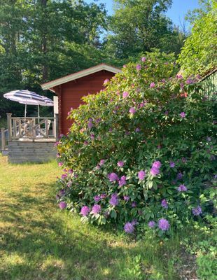 Klassiskt trevligt skärgårdshus nära vattnet. - Bild 3