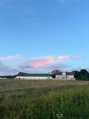 Lada i Rute – charmigt gotlandshus i rustik stil - Bild 23