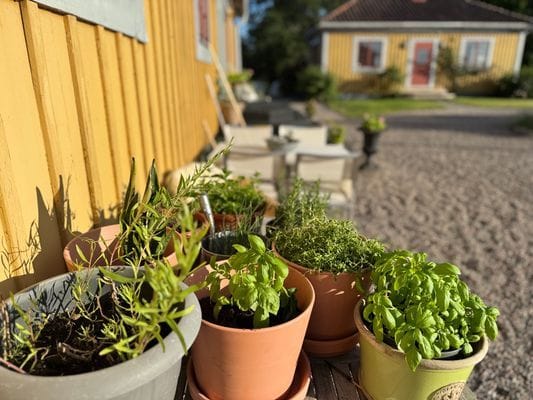 Topprenoverat med privat brygga på gård i Sörmland - Bild 54